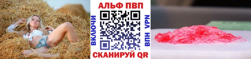 A-PVP СК КРИС  Салават 
