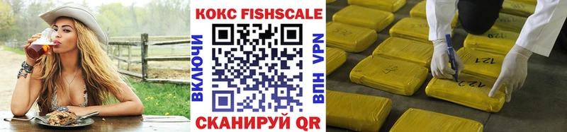 Cocaine FishScale  сколько стоит  Салават 