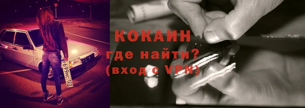 шишки Лихославль