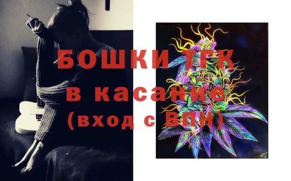 индика Липки