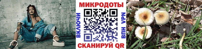 blacksprut как зайти Салават маркетплейс состав Псилоцибиновые грибы MAGIC MUSHROOMS