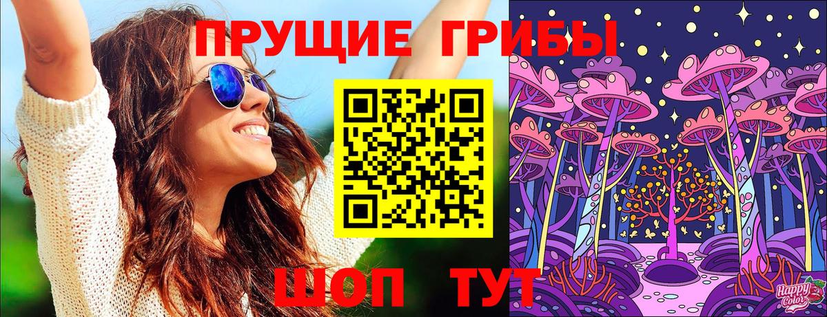 Галлюциногенные грибы GOLDEN TEACHER  Галлюциногенные грибы Magic Shrooms  закладки  Салават 