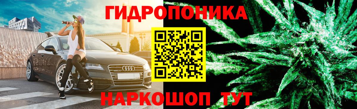 Салават  Бошки Шишки план  Вход с VPN  Шишки марихуана конопля  Шишки марихуана планчик 
